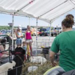 Thanks to Devooght Farms for bringing out their animals!