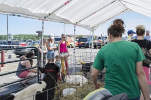 Thanks to Devooght Farms for bringing out their animals!