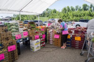 Mangos are just 3 for $3 right now at Tadych's Econo Foods