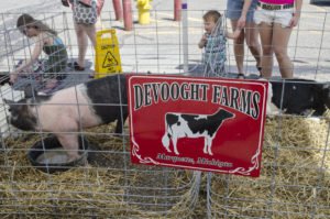 Devooght Farms of Marquette, MI 49855
