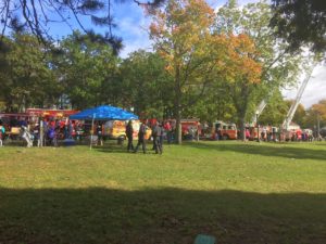 Joe D. live from Harlow Park