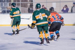 Help raise money to put a roof over the ice rink at Lions Field.