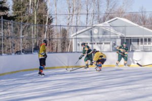 Let's put a roof over Lions Field Ice Rink.