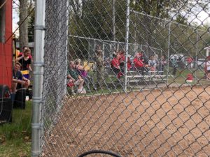 Marquette_Redettes_Softball_Crowd