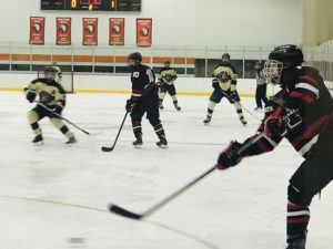 The Marquette Redmen Hockey team takes on the Berkley Bears.