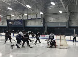 Marquette Redmen Hockey took on Utica Eisenhower.