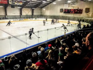 Hockey fans intently watching the game