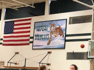 Home of the Alpena Wildcats.