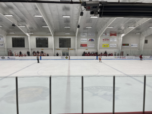 Redmen and Bulldog Benches