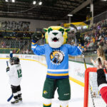 Mqt-County-Hockey-Night