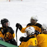 Mqt-County-Hockey-Night