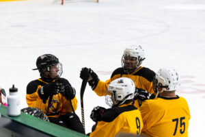 Mqt-County-Hockey-Night