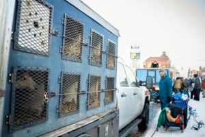 UP-200-Midnight-Run-2026-race-start-downtown-marquette
