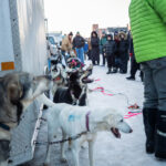 UP-200-Midnight-Run-2026-race-start-downtown-marquette
