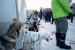 UP-200-Midnight-Run-2026-race-start-downtown-marquette