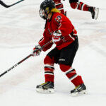 2026-pigs-n-heat-charity-game