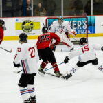 2026-pigs-n-heat-charity-game