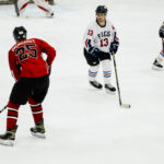 2026-pigs-n-heat-charity-game