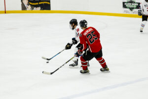 2026-pigs-n-heat-charity-game