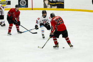 2026-pigs-n-heat-charity-game