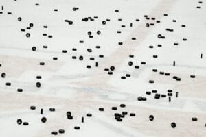 2026-pigs-n-heat-charity-game